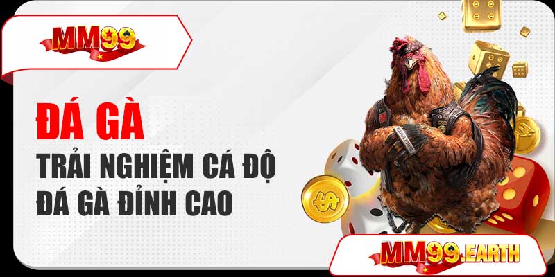 Đá gà MM99